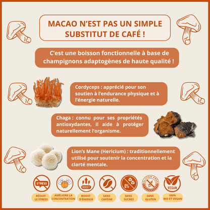 Infographie Macao : bienfaits des champignons adaptogènes Cordyceps, Chaga et Lion’s Mane pour l’énergie, la concentration et la réduction du stress